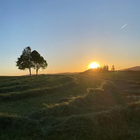 Abendsonne *