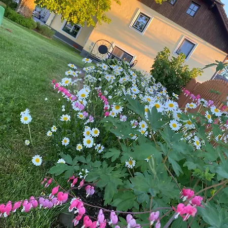Abendsonne *