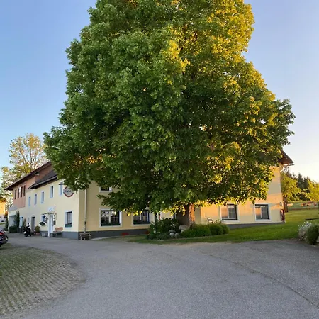 Abendsonne * Schenkenfelden